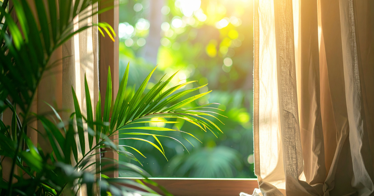 Afbeelding bij ons blogartikel over zonwerend glas