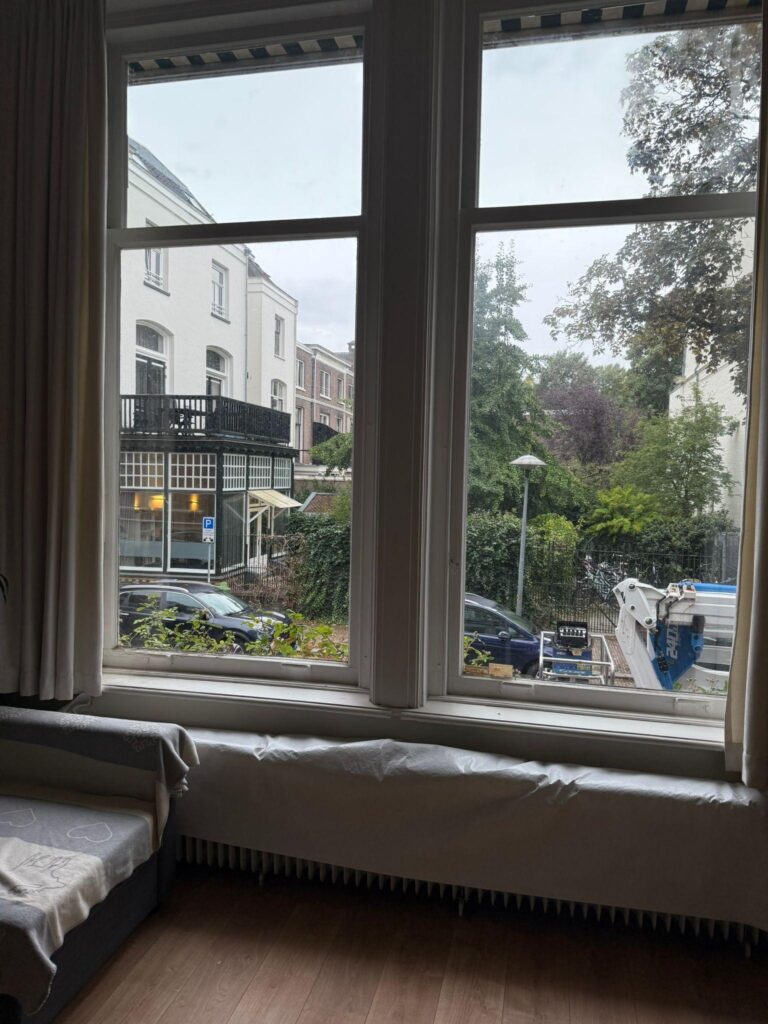 Hoge woonkamerraampartij met uitzicht op de straat en bomen