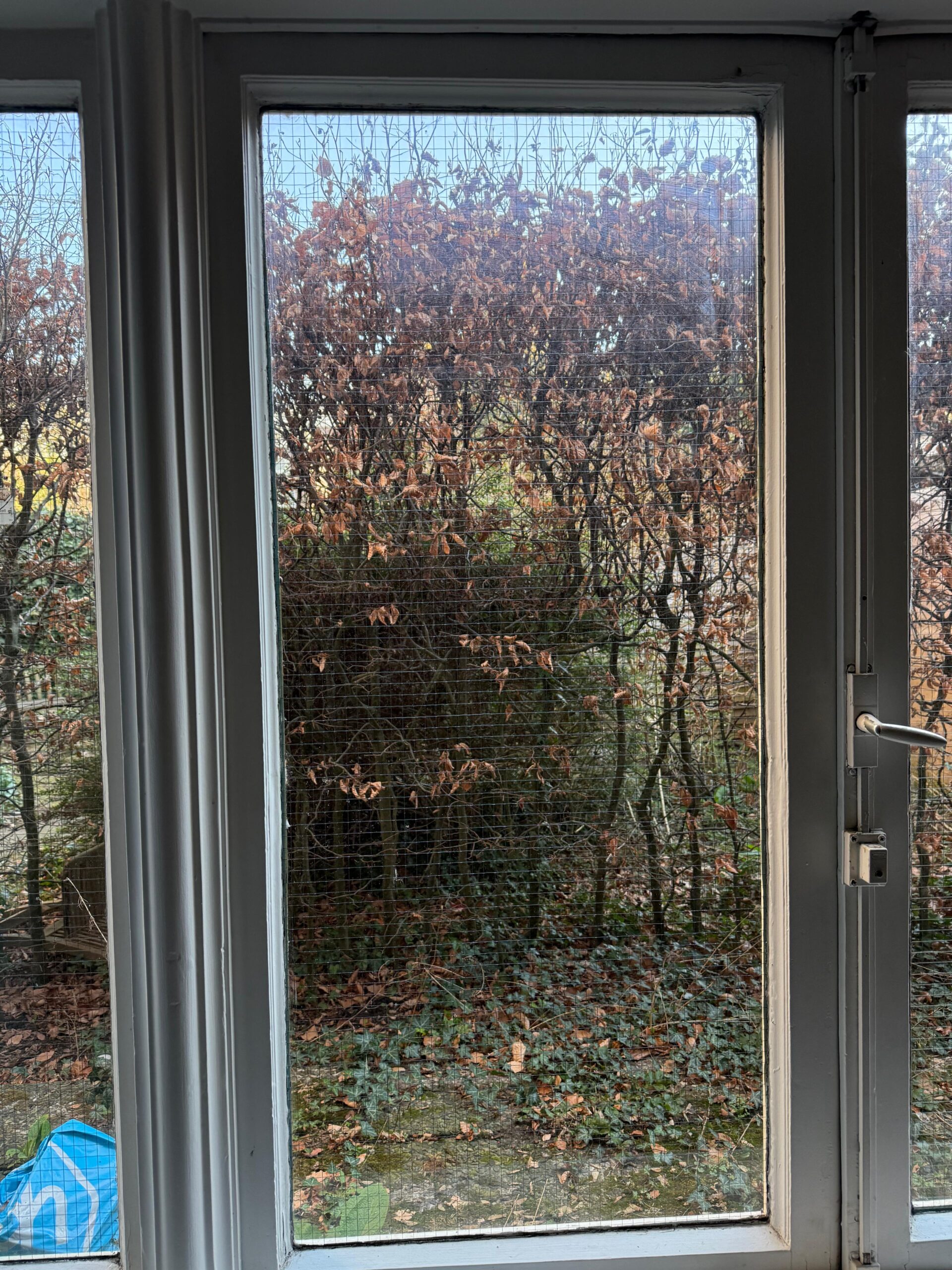 Raam in een wit kozijn met uitzicht op de tuin